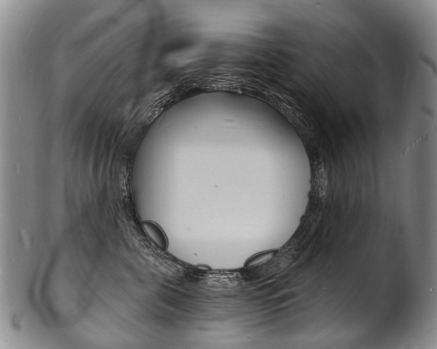 X0000101670571200807101052