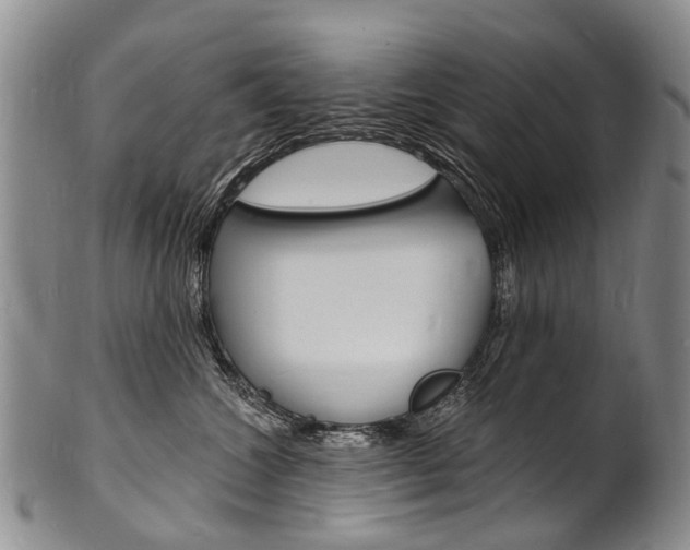 X0000101670572200807101052