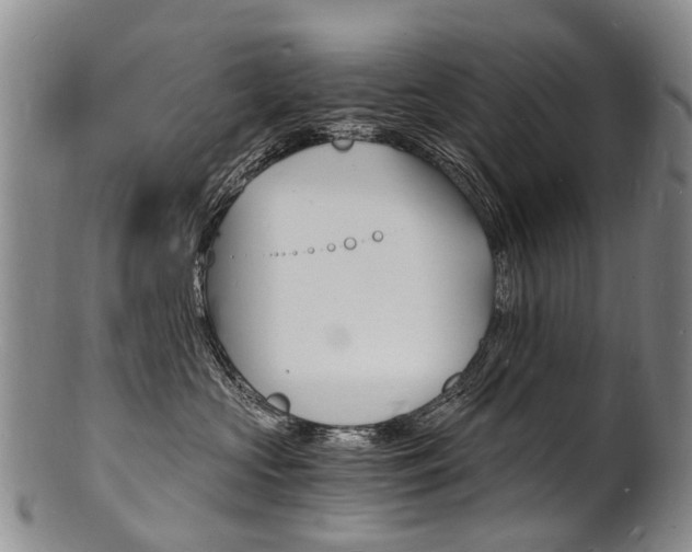 X0000101670573200807101052