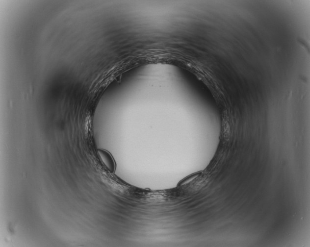 X0000101670574200807101052