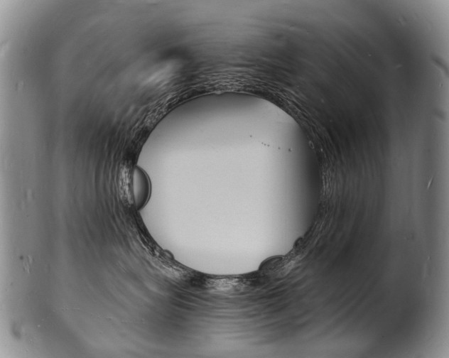 X0000101670575200807101052