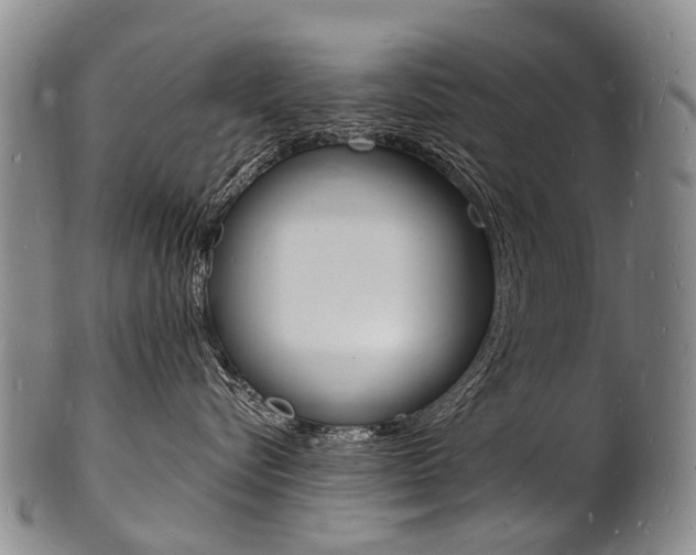 X0000101670576200807101052