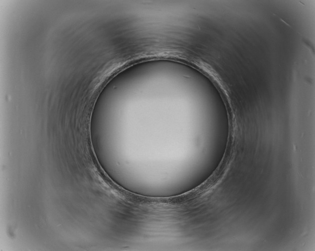 X0000101670577200807101051