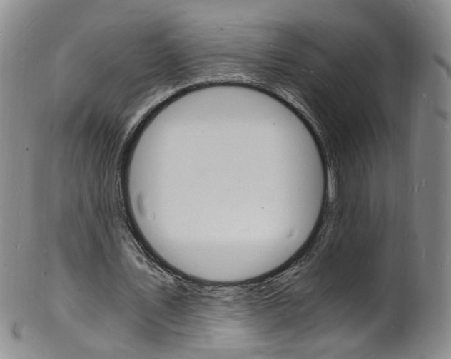 X0000101670579200807101051