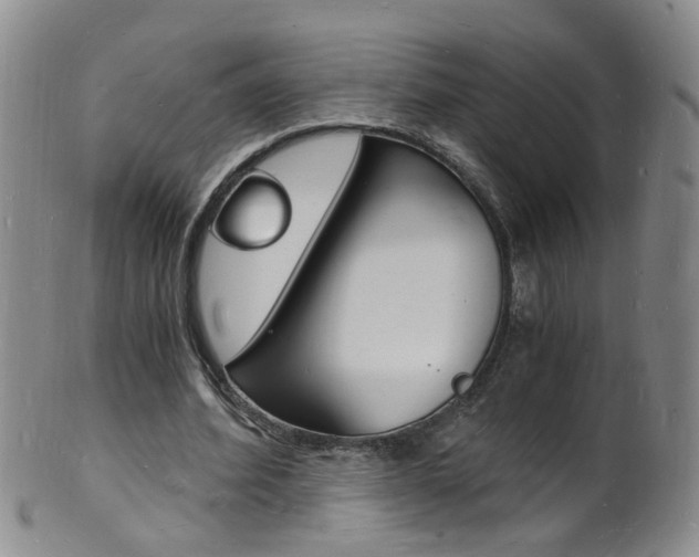 X0000101670580200807101051