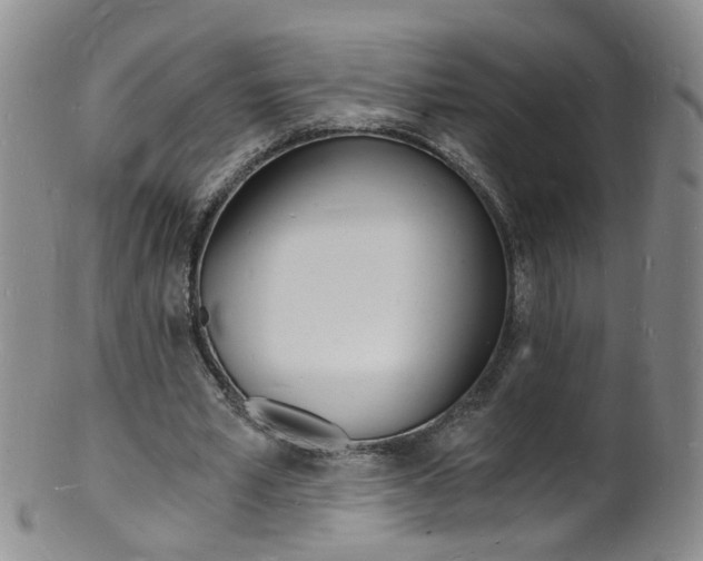 X0000101670581200807101051