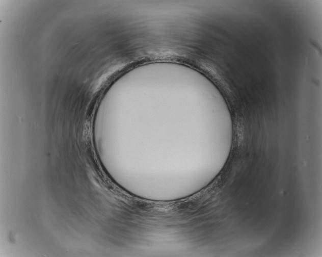 X0000101670583200807101051