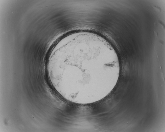 X0000101670584200807101051
