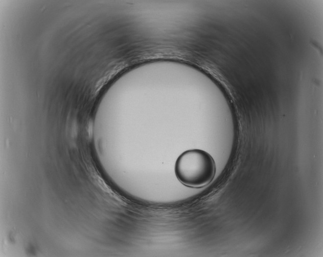 X0000101670585200807101051
