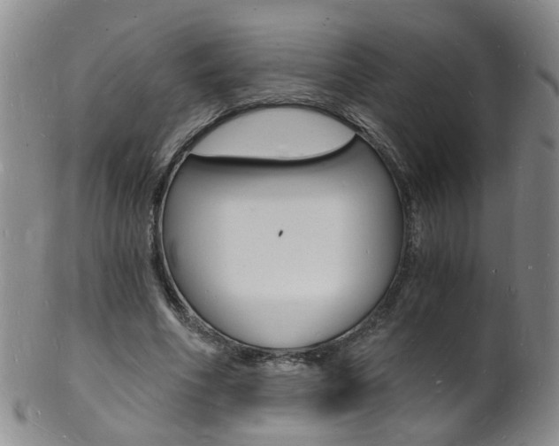 X0000101670586200807101051