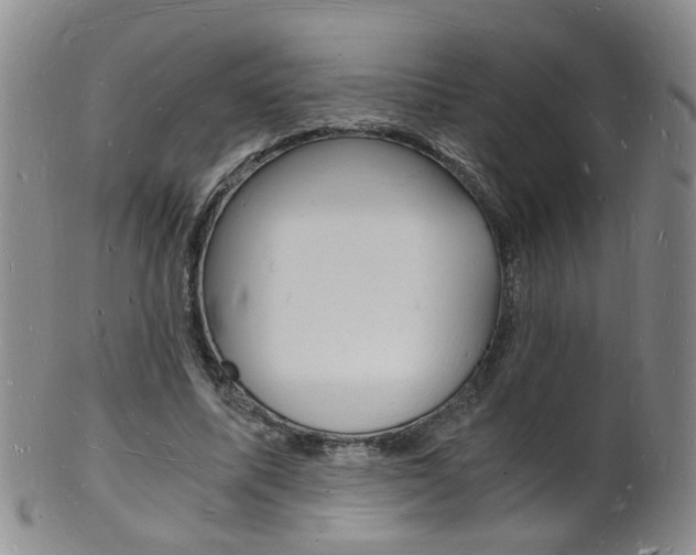 X0000101670587200807101051