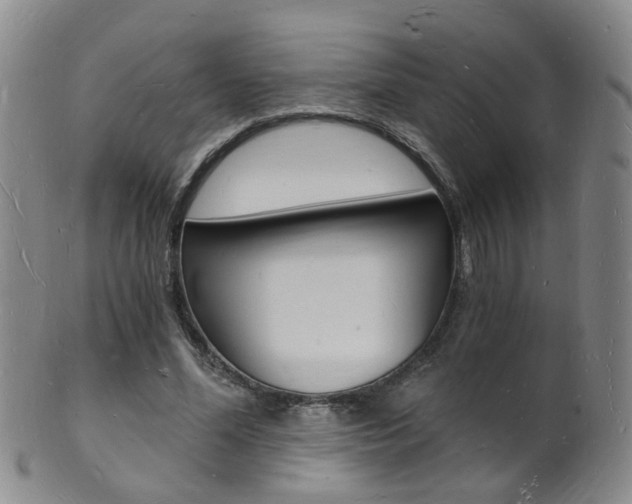 X0000101670588200807101051