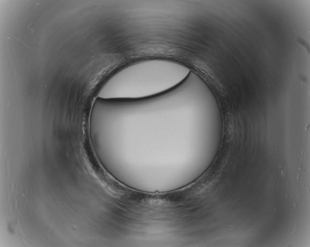 X0000101670590200807101051
