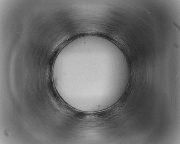 X0000101670591200807101051
