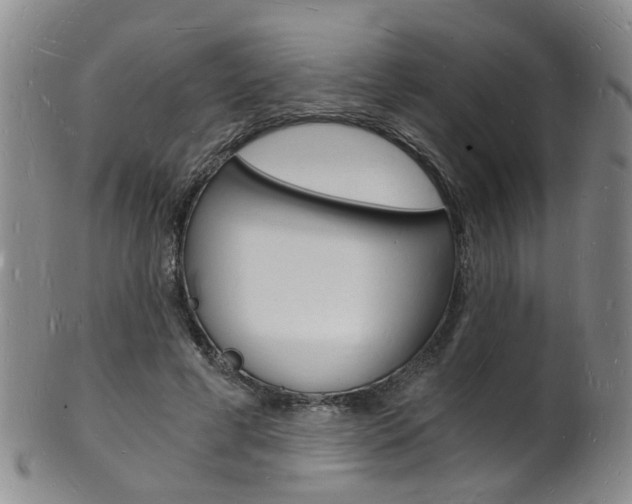 X0000101670593200807101051