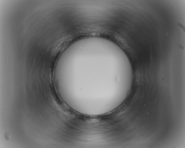 X0000101670594200807101051