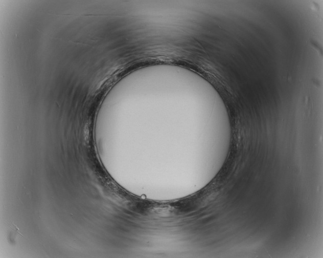 X0000101670595200807101051