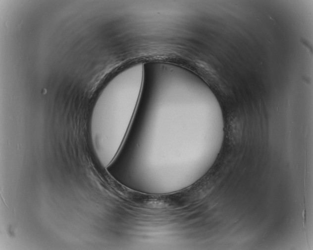 X0000101670596200807101051