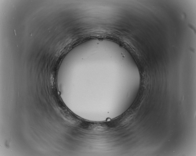 X0000101670597200807101051