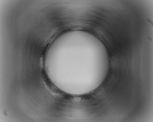 X0000101670598200807101051