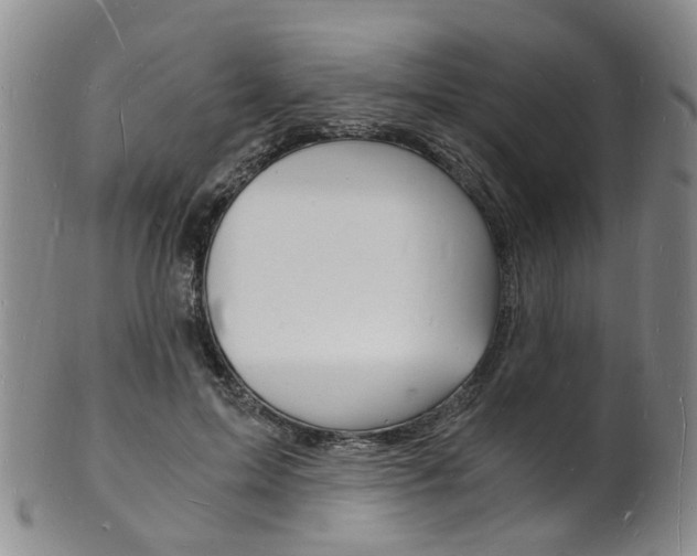 X0000101670599200807101051