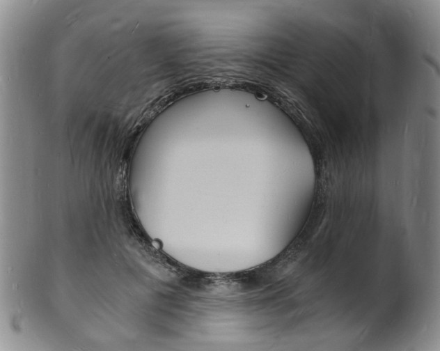 X0000101670601200807101051