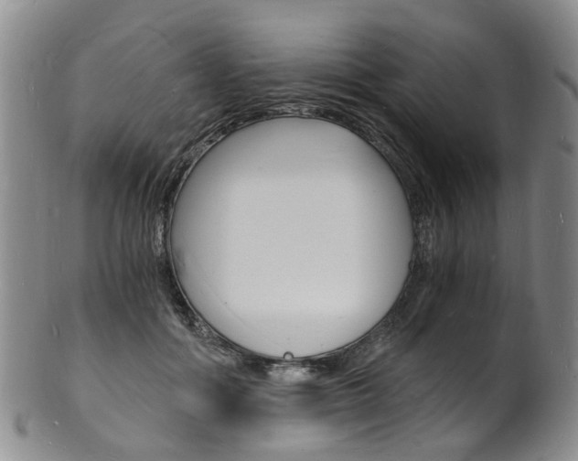 X0000101670602200807101051