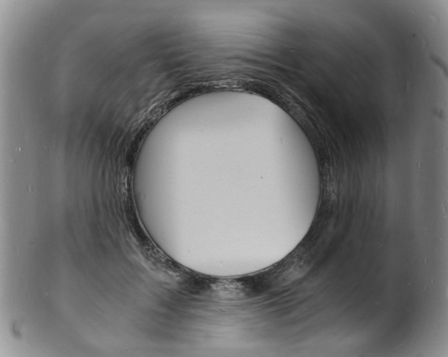X0000101670603200807101051