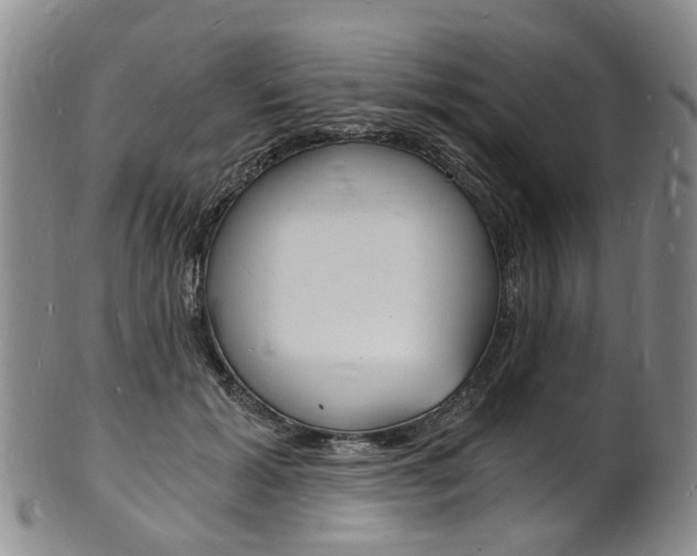 X0000101670605200807101051