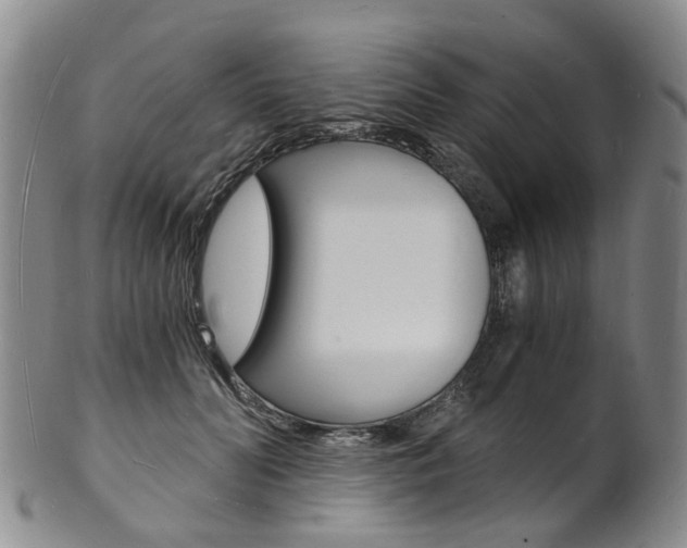 X0000101670606200807101051
