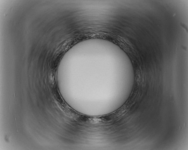 X0000101670607200807101051