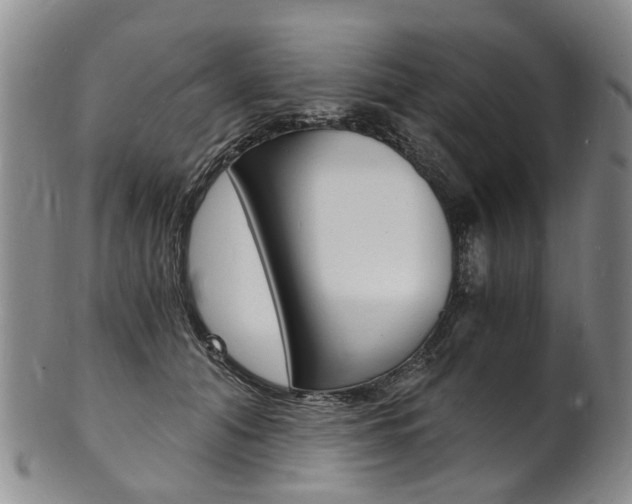 X0000101670608200807101051