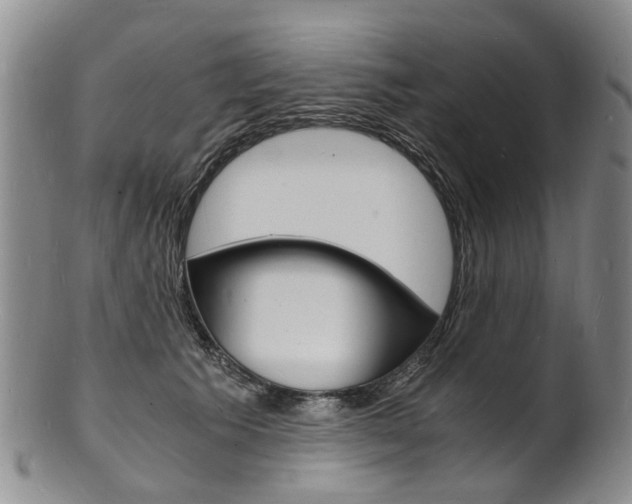 X0000101670609200807101051
