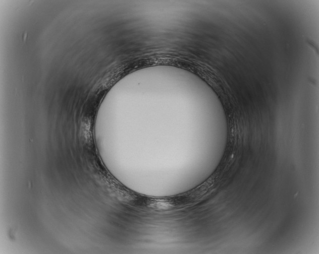 X0000101670610200807101051