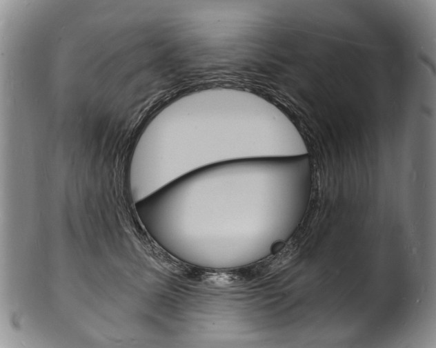 X0000101670611200807101051