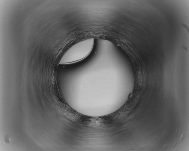 X0000101670612200807101051