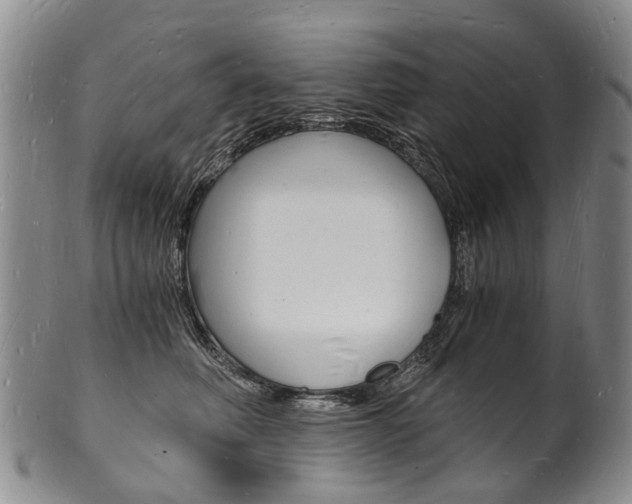 X0000101670614200807101051