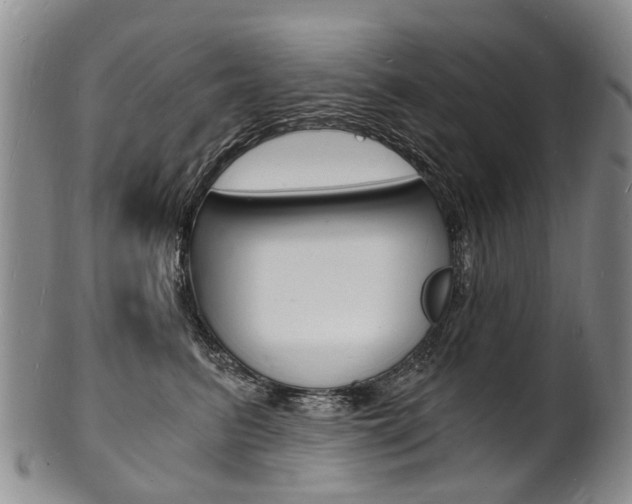 X0000101670615200807101051