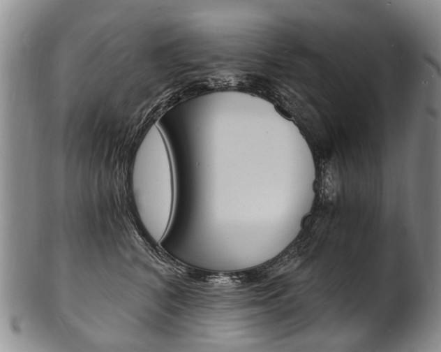 X0000101670616200807101051
