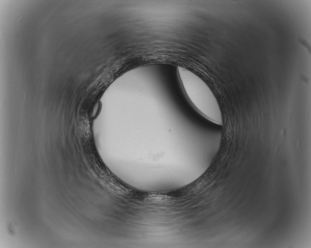 X0000101670617200807101051