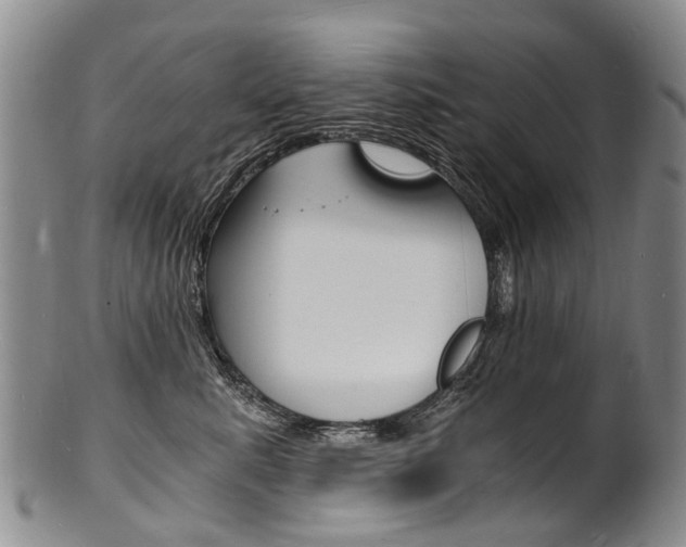 X0000101670619200807101051