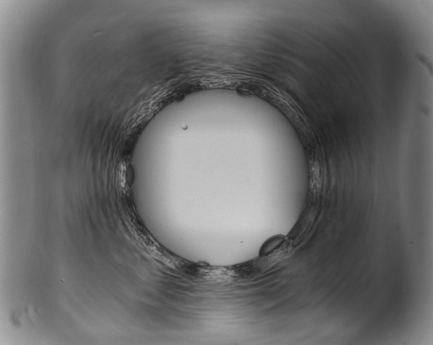X0000101670621200807101050