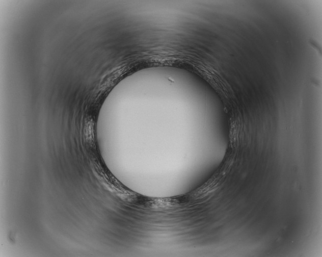 X0000101670623200807101050