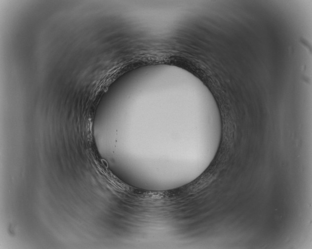 X0000101670624200807101050