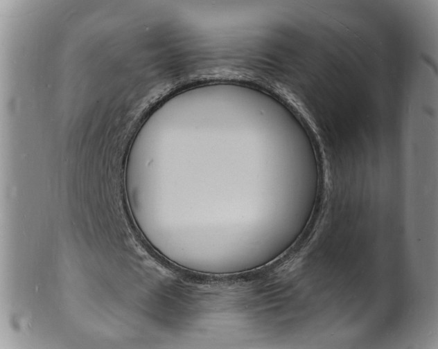 X0000101670625200807101050