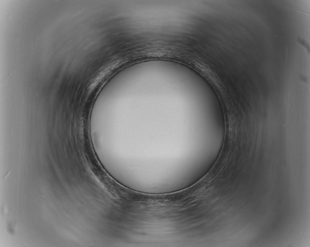 X0000101670626200807101050