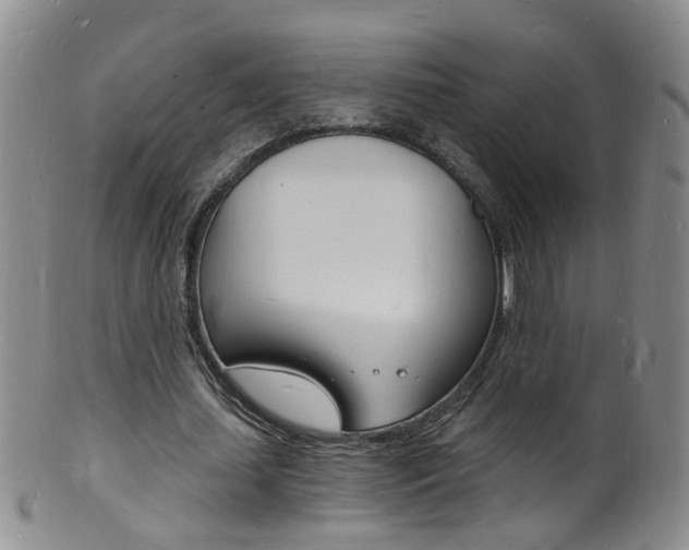 X0000101670627200807101050