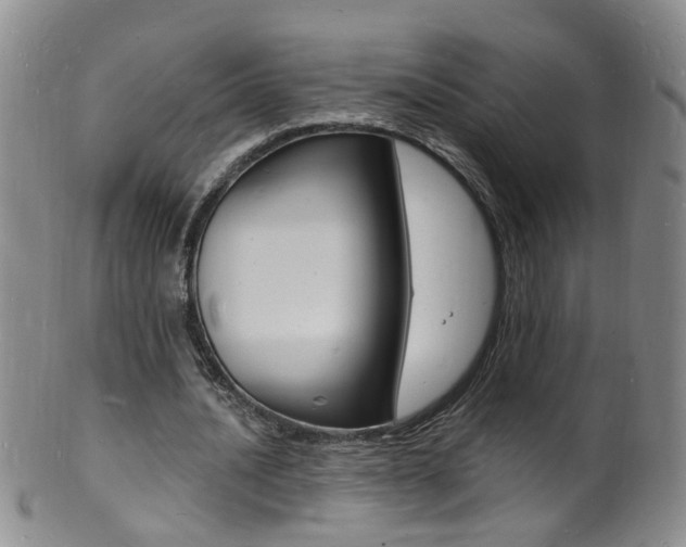 X0000101670628200807101050