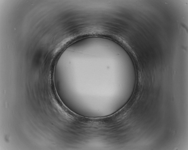 X0000101670629200807101050
