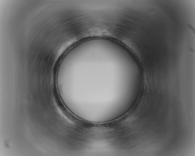 X0000101670630200807101050